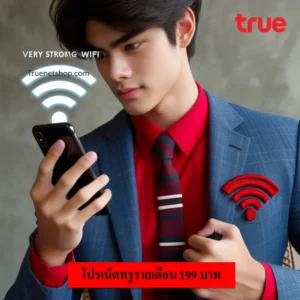 เน็ตทรูรายเดือน 199