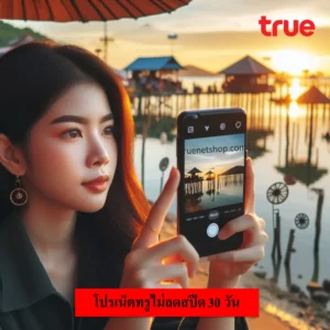 เน็ตรายเดือนทรู 200